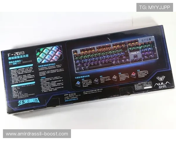 全面解析F2010电竞游戏鼠标驱动的下载、安装及常见问题解决方案 全面解析F2010电竞游戏鼠标驱动的下载、安装及常见问题解决方案