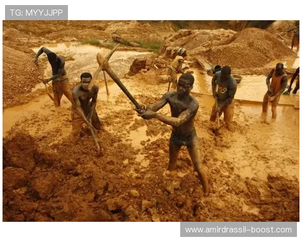 寻宝黄金城游戏下载攻略,详细步骤助你快速进入游戏世界 寻宝黄金城游戏下载攻略,详细步骤助你快速进入游戏世界