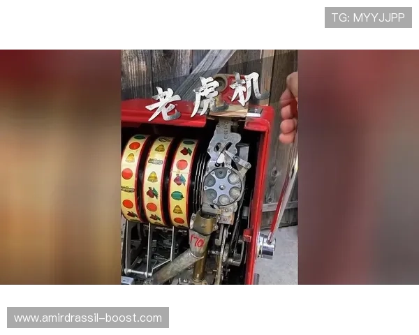 财神老虎机购买注意事项全面解析避免陷入购买陷阱